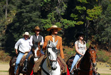 Mexico-Sierra Occidental-La Sierra Relaxed Cavalcade